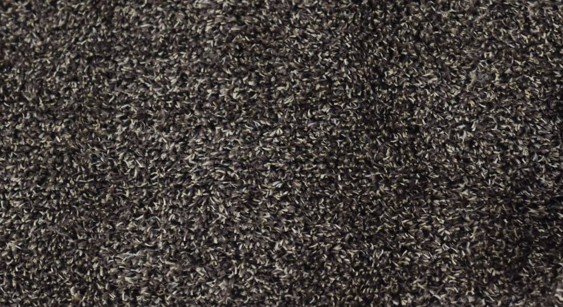 Plüsch Bonekal breite 160 braun beige