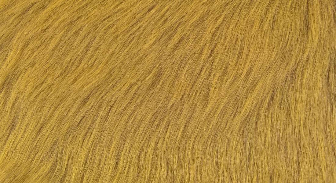 Kunstfell, gelb, Flor 60 mm, Berite 150
