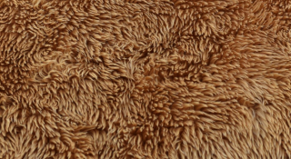 Plüsch-Teddybär, Flor 20mm, Breite 150 cm