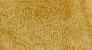 Polster Plüsch, goldgelb, Flor 20 mm